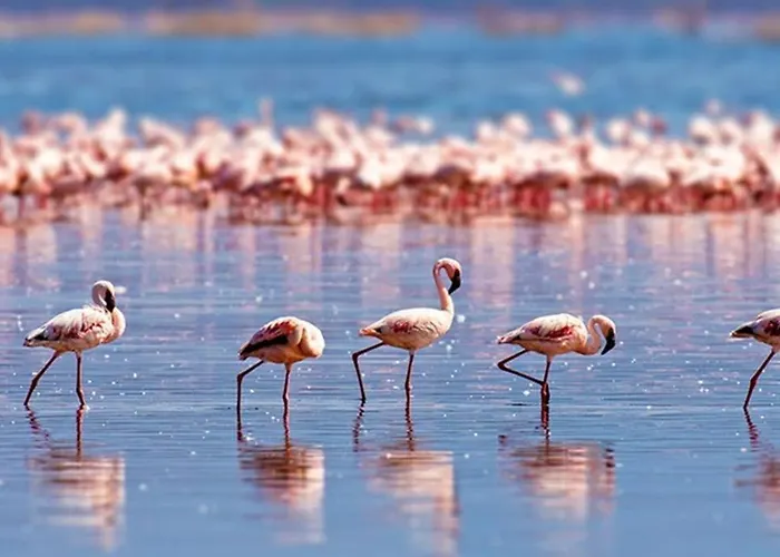 Le Dina Robin, 5mn A Pied, Wi-fi, Parking Prive A 5 Min *